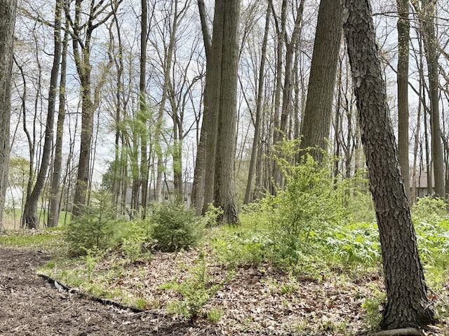 12131 Brandywine Dr, Brighton, MI 48114 - view of tree filled area