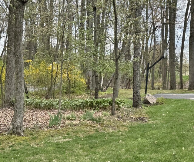 12131 Brandywine Dr, Brighton, MI 48114 - view of green lawn