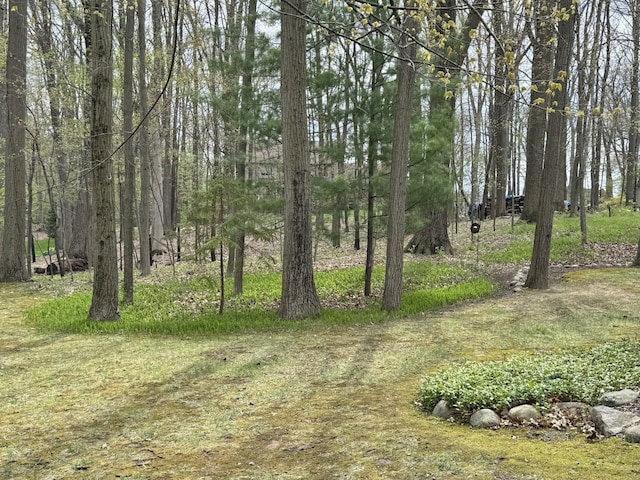 12131 Brandywine Dr, Brighton, MI 48114 - view of local wilderness