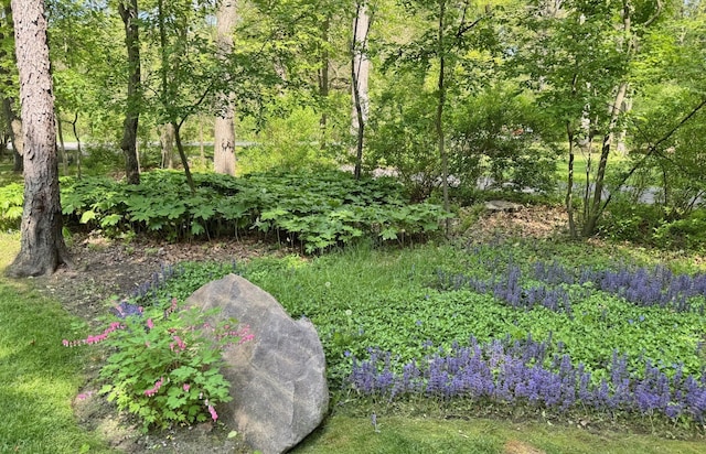 12131 Brandywine Dr, Brighton, MI 48114 - view of yard