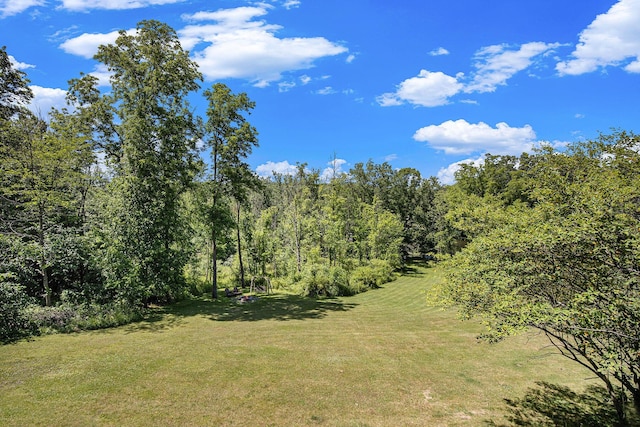 10159 E Rivershore Dr SE, Alto, MI 49302 - photo 46