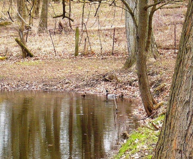 view of water feature