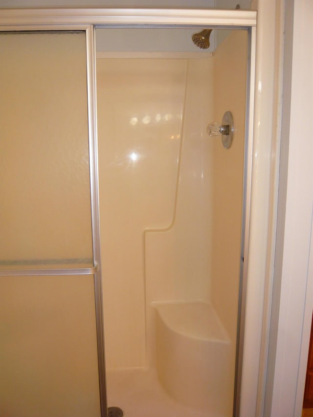 bathroom featuring a shower stall