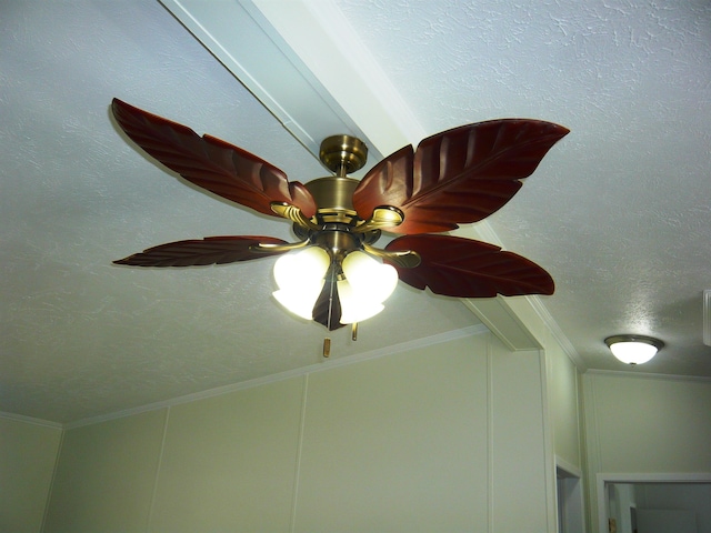 interior details featuring crown molding and a ceiling fan
