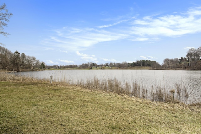3942 Harmon Dr, Fremont, MI 49412 - view of water feature