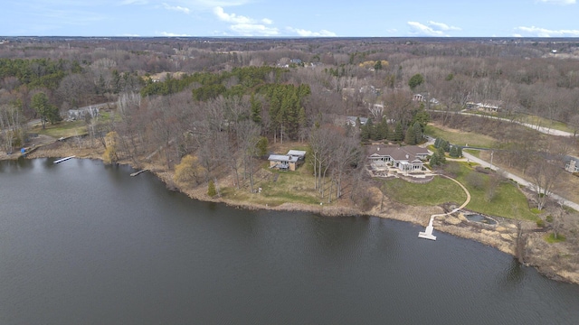 3942 Harmon Dr, Fremont, MI 49412 - birds eye view of property featuring a water view and a view of trees