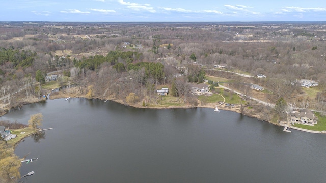 3942 Harmon Dr, Fremont, MI 49412 - bird's eye view with a water view and a view of trees
