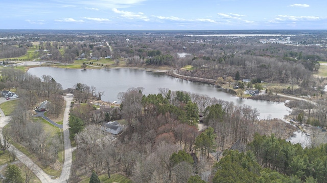 3942 Harmon Dr, Fremont, MI 49412 - drone / aerial view featuring a water view