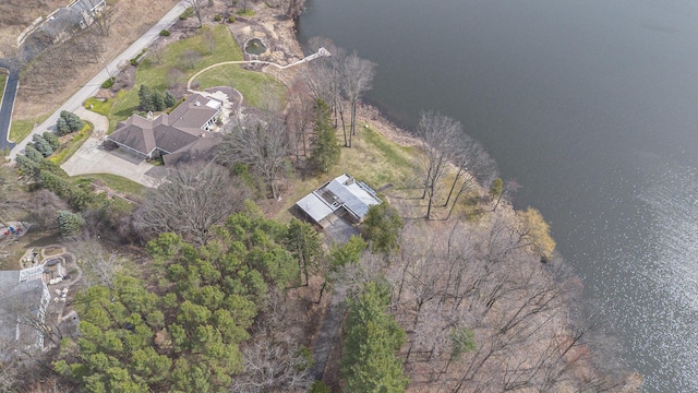 3942 Harmon Dr, Fremont, MI 49412 - bird's eye view