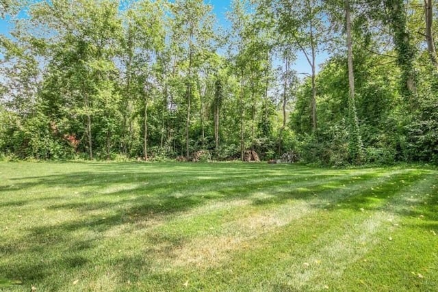 view of yard featuring a view of trees
