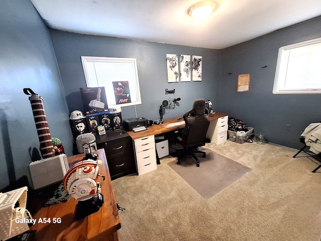 7541 Sloan St, Taylor, MI 48180 - view of carpeted office