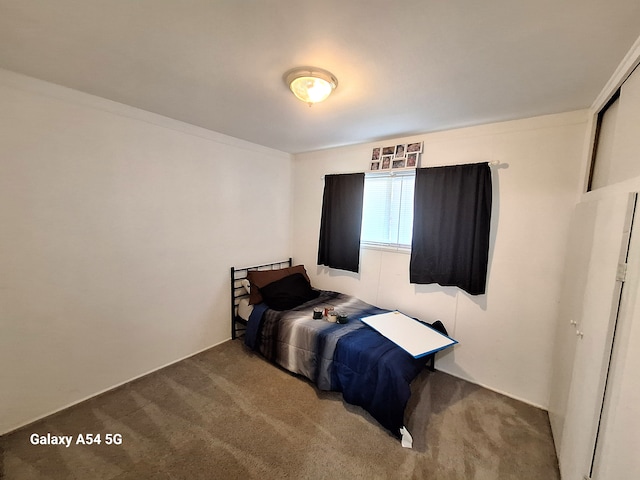 7541 Sloan St, Taylor, MI 48180 - bedroom with carpet flooring