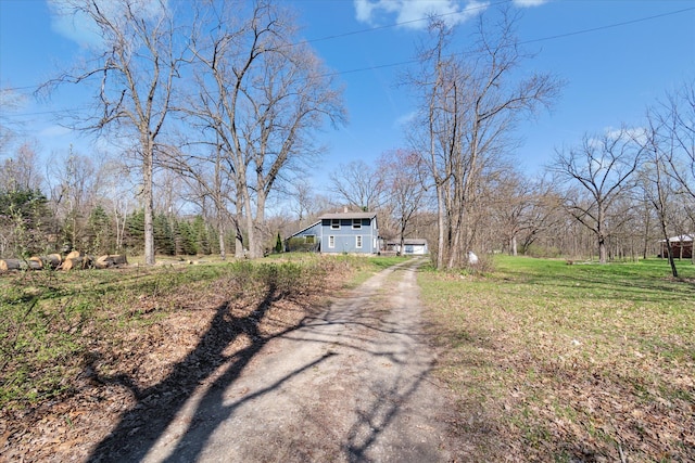 view of road with dirt driveway