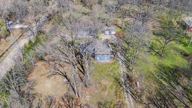 drone / aerial view
