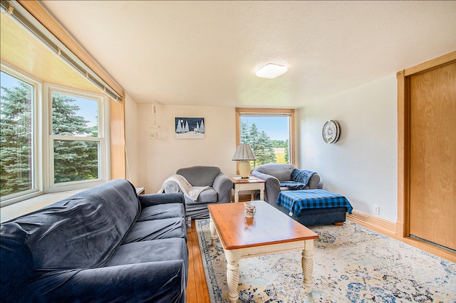 living area featuring plenty of natural light, baseboards, and wood finished floors