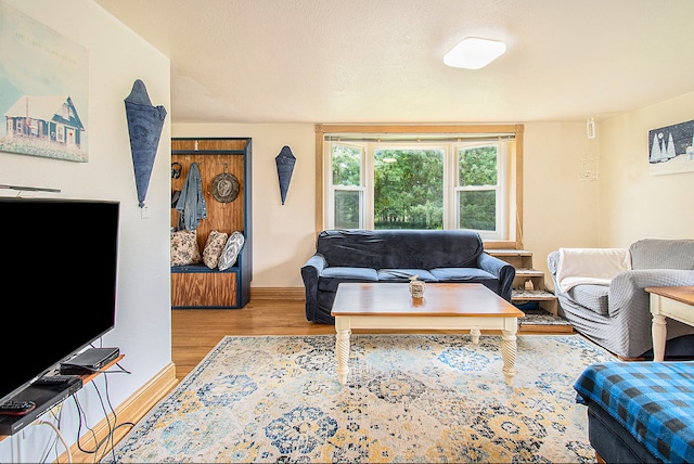 living area with baseboards and wood finished floors