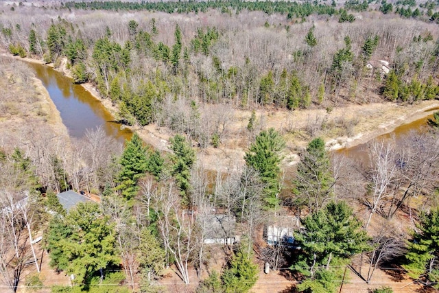 birds eye view of property with a forest view and a water view