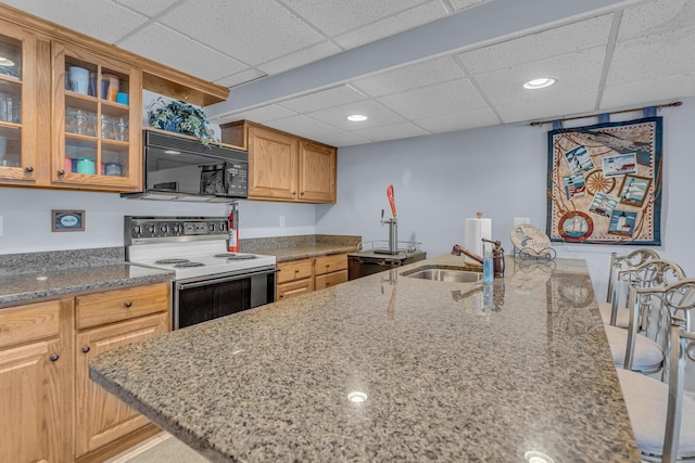 kitchen featuring a paneled ceiling, light stone counters, black microwave, range with electric cooktop, and a sink