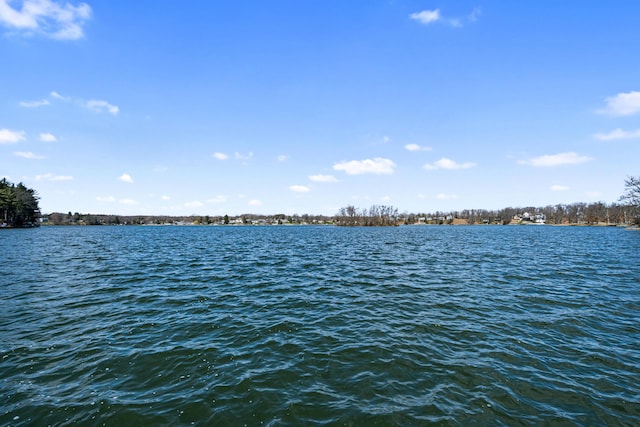 11672 Bradley Dr, Jerome, MI 49249 - view of water feature