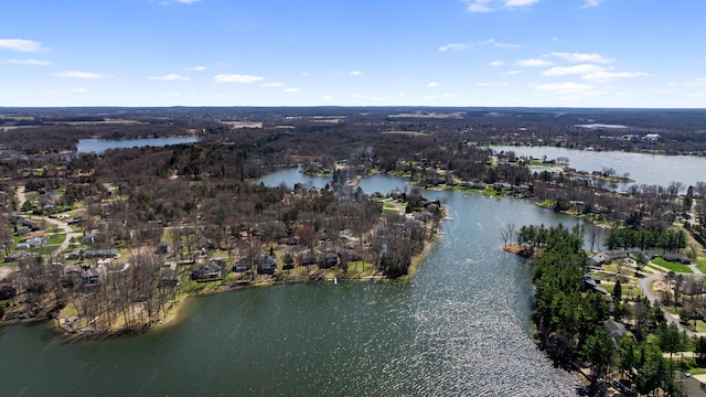 11672 Bradley Dr, Jerome, MI 49249 - drone / aerial view featuring a water view