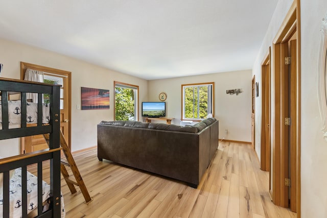 11672 Bradley Dr, Jerome, MI 49249 - living area featuring light wood-style floors and baseboards