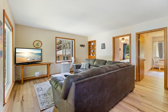 11672 Bradley Dr, Jerome, MI 49249 - living room with light wood finished floors