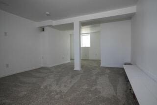 basement featuring carpet flooring