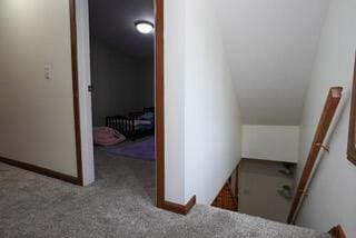 stairway featuring carpet and lofted ceiling