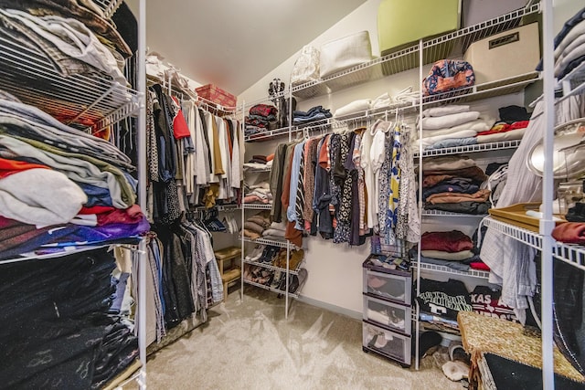 spacious closet featuring carpet