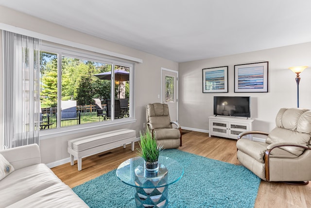 living room with baseboards and wood finished floors