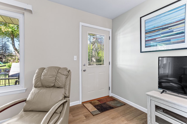 entryway with baseboards, plenty of natural light, and wood finished floors