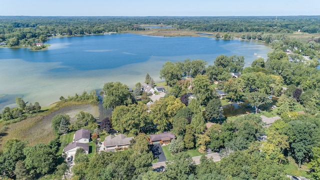 birds eye view of property with a water view and a view of trees