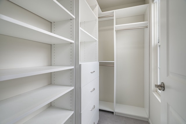 view of walk in closet