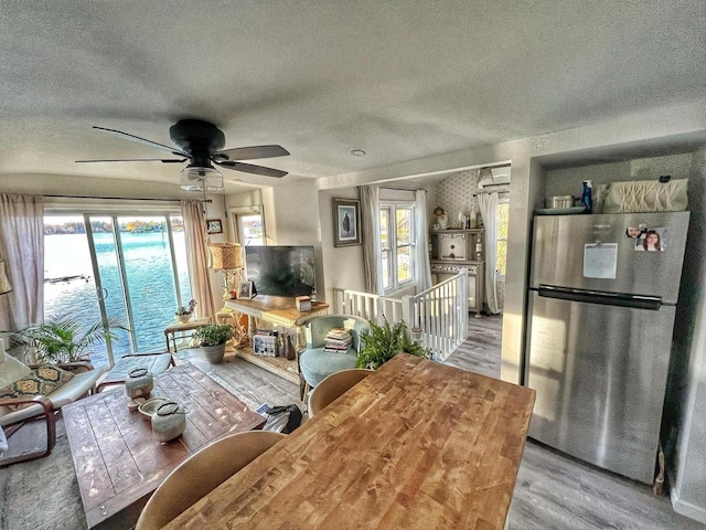 520 Bellevue Ave, Lake Orion, MI 48362 - interior space featuring a wealth of natural light, a ceiling fan, wood finished floors, and a textured ceiling