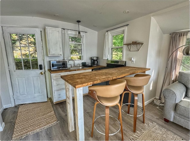 520 Bellevue Ave, Lake Orion, MI 48362 - bar featuring lofted ceiling, a sink, dark wood-style floors, and baseboards