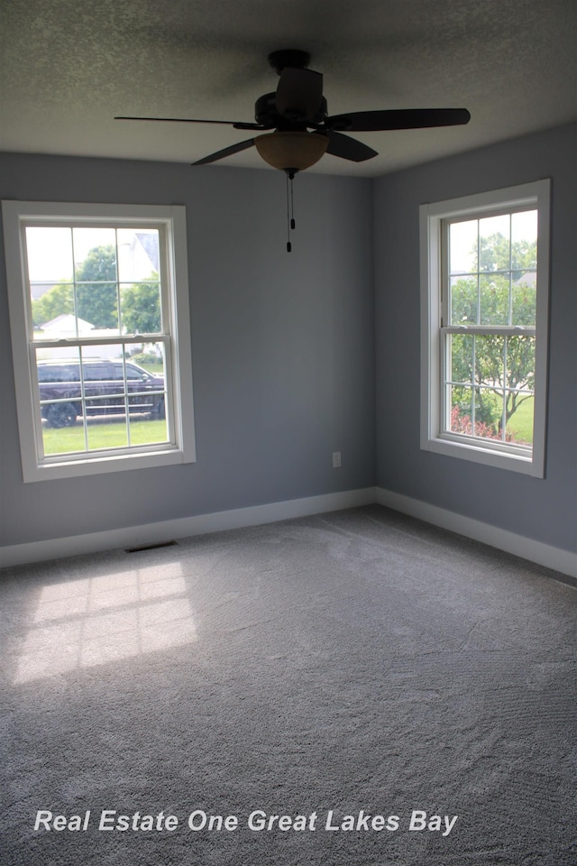 8311 Goldfinch Rd, Freeland, MI 48623 - carpeted empty room with healthy amount of natural light, ceiling fan, and a textured ceiling