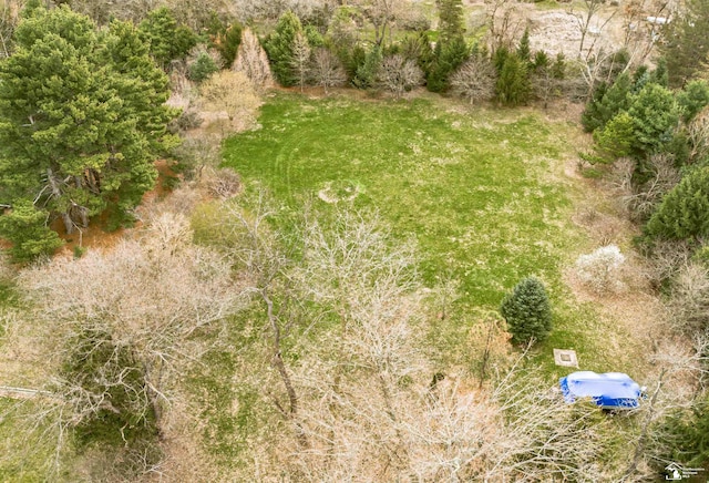 14 Lakeridge Dr, Adrian, MI 49221