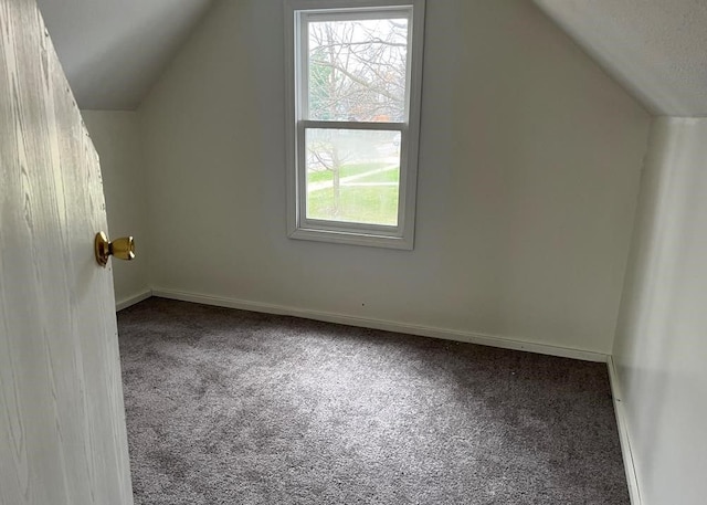 327 E Main St, Vermontville, MI 49096 - bonus room featuring baseboards, vaulted ceiling, and carpet