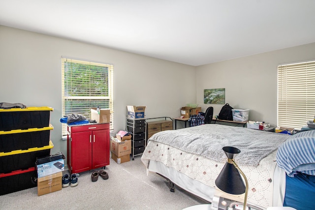 61043 Greenwood Dr # 167, South Lyon, MI 48178 - bedroom featuring carpet floors