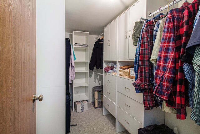 61043 Greenwood Dr # 167, South Lyon, MI 48178 - spacious closet featuring light carpet