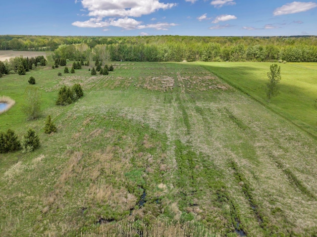 8322 N Short Rd NW, Columbus, MI 48063 - aerial view of property and surrounding area with rural landscape