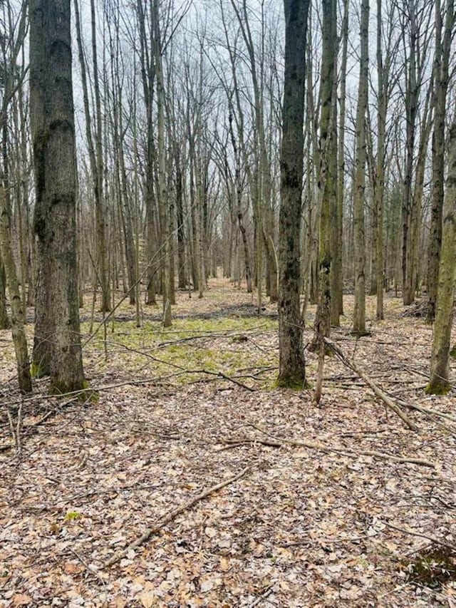 view of local wilderness with a view of trees