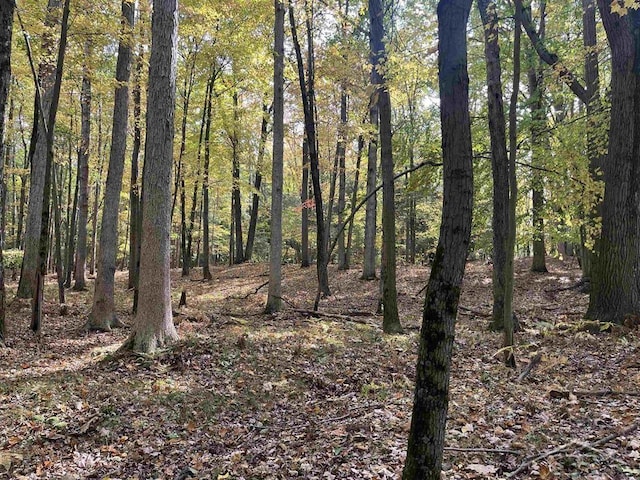 view of nature with a view of trees