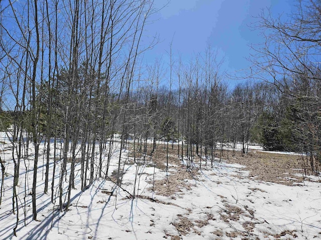 0000V/LD Grass Lake Rd, Kalkaska, MI 49646