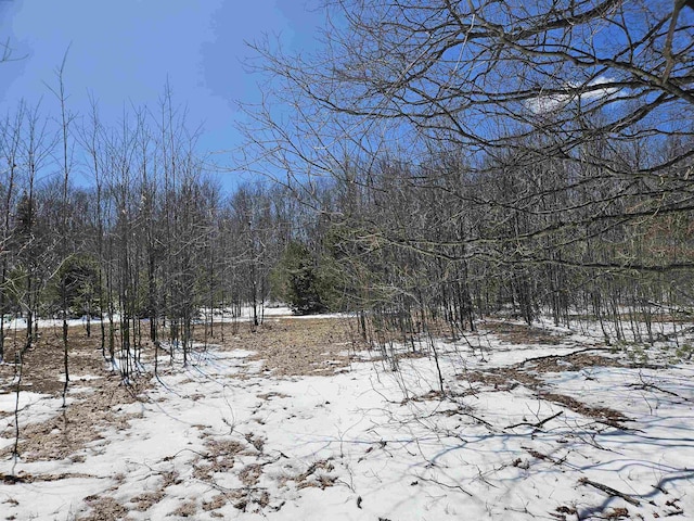 0000V/LD Grass Lake Rd, Kalkaska, MI 49646