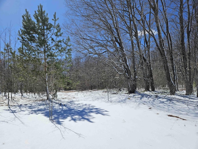 0000V/LD Grass Lake Rd, Kalkaska, MI 49646
