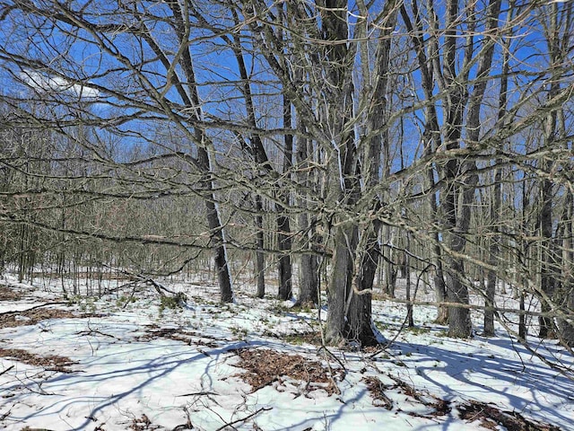 0000V/LD Grass Lake Rd, Kalkaska, MI 49646