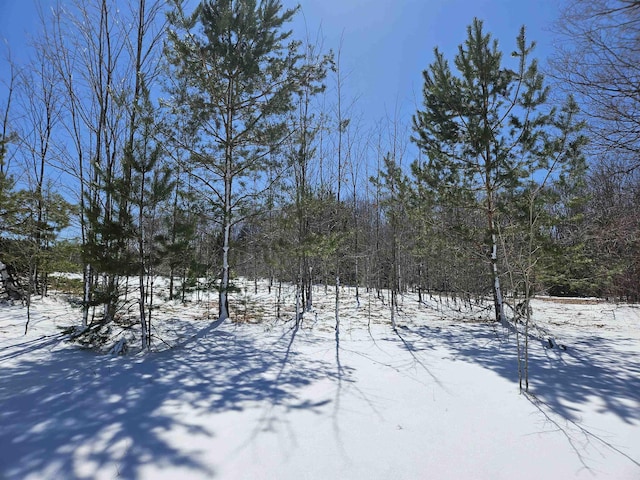0000V/LD Grass Lake Rd, Kalkaska, MI 49646