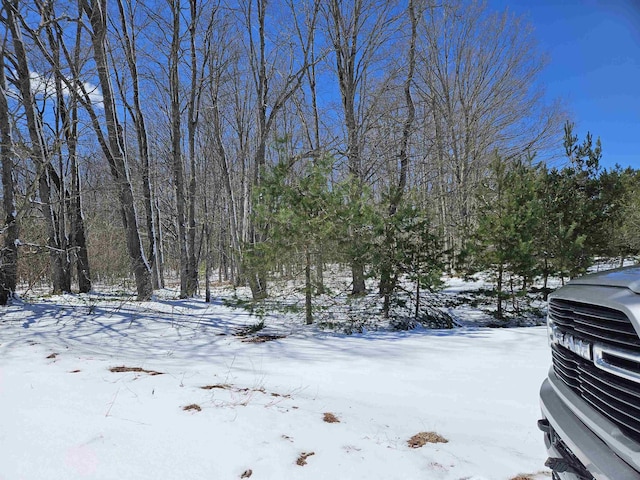 0000V/LD Grass Lake Rd, Kalkaska, MI 49646
