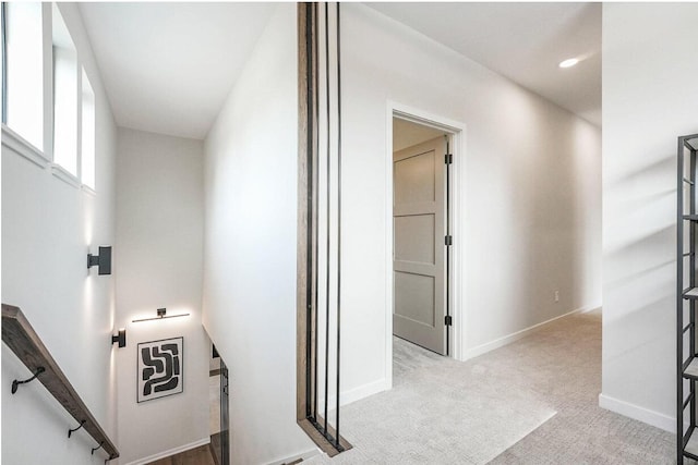 2359 Elinor Ln SE, East Grand Rapids, MI 49506 - hall with carpet floors and baseboards